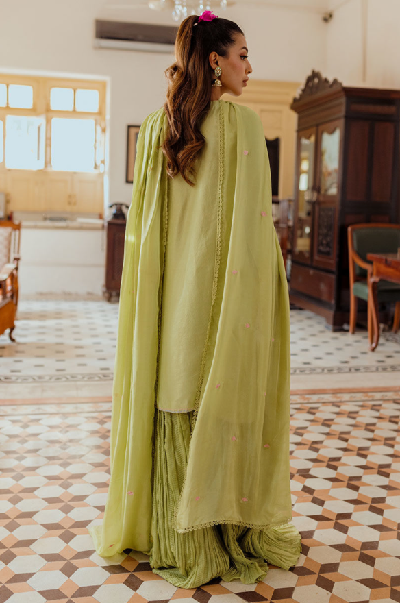 Ansab Jahangir Leena- Pistachio Green