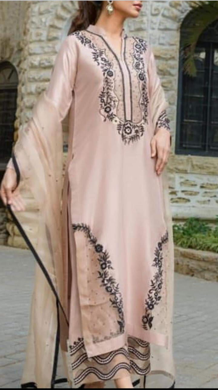 Bellarose Salwar Kameez With Black Accents